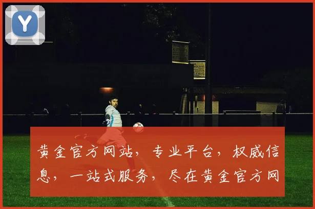黄金官方网站，专业平台，权威信息，一站式服务，尽在黄金官方网站